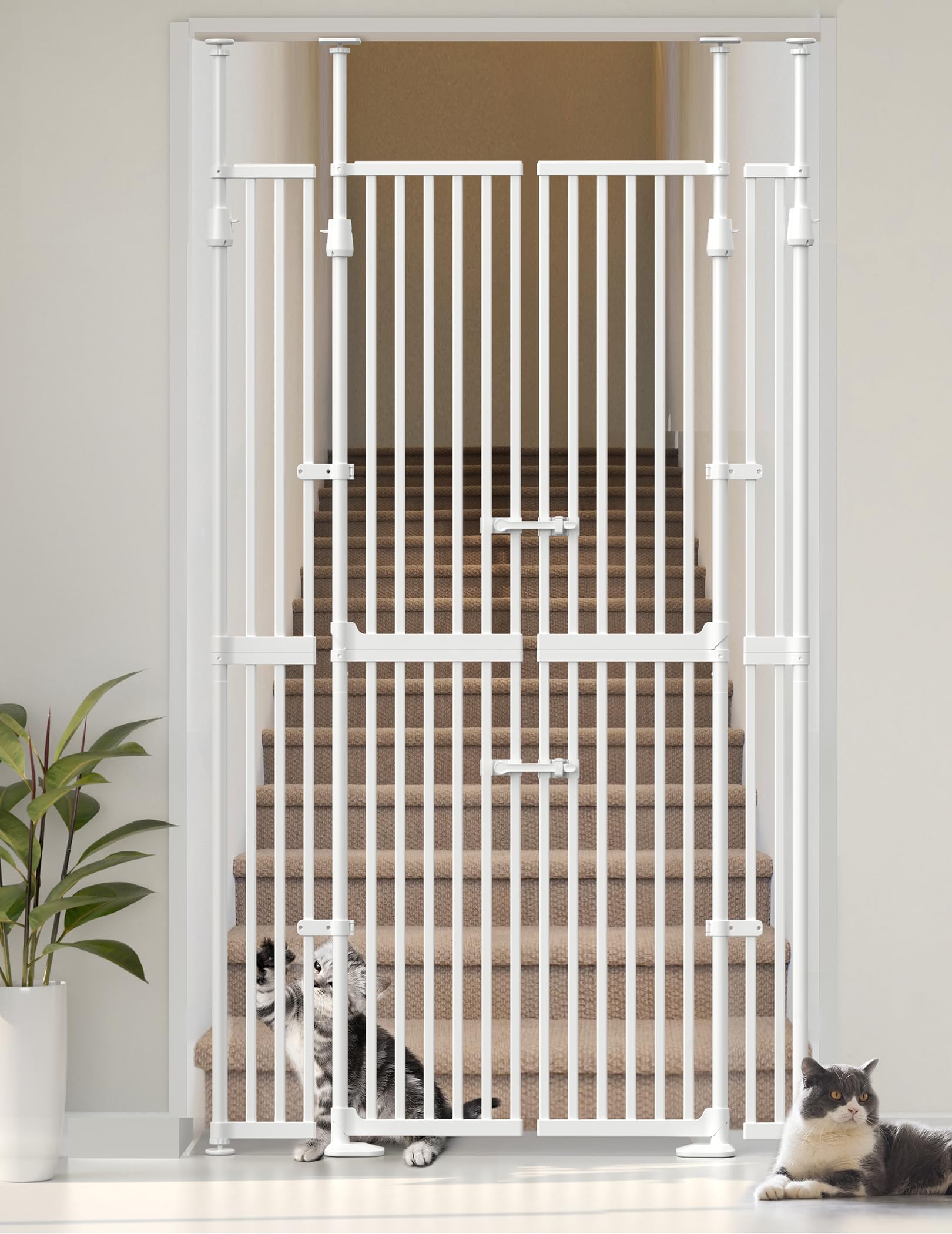 Amazon.com: Sprouterie Extra Tall Cat Gate for Doorway, Pressure
